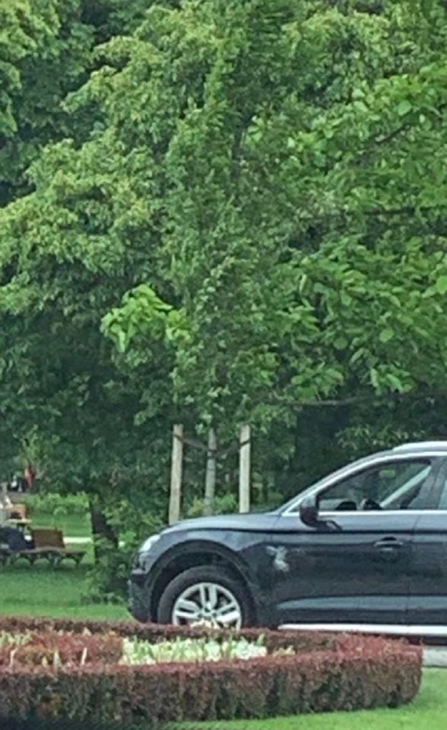 Nenad Konstantinović