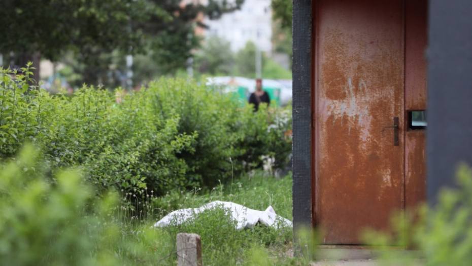 Novi Beograd, samoubistvo, zgradaa