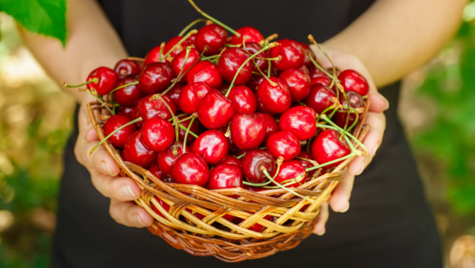 Trešnje, voće, višnje