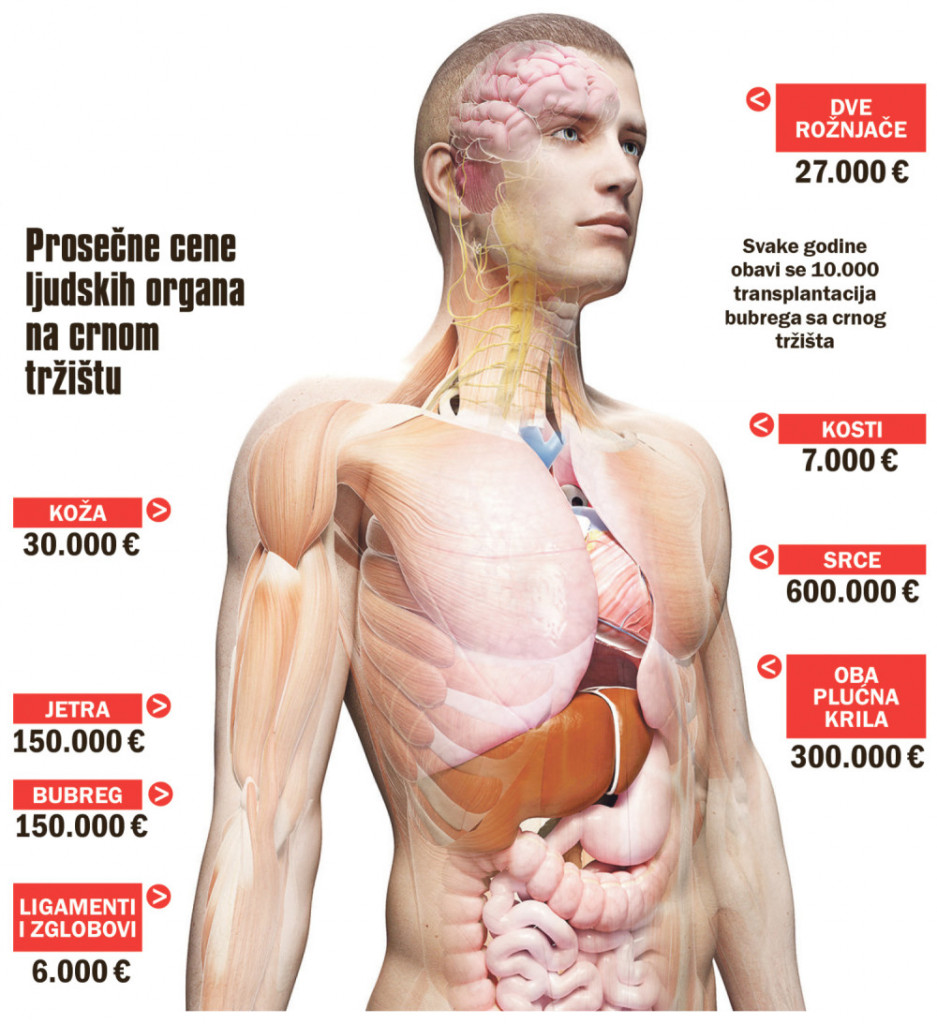 Prosečne cene ljudskih organa na crnom tržištu