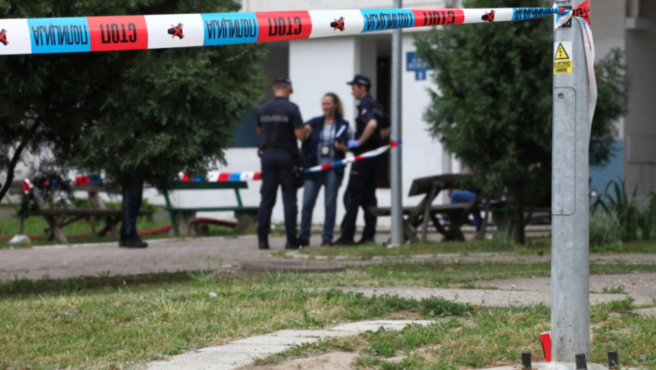 Bežanija, Bežanijska kosa