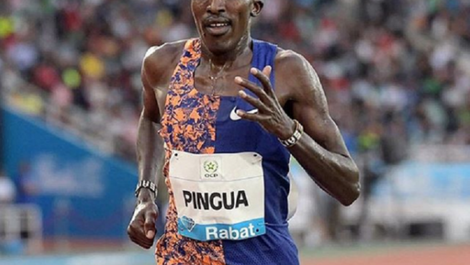 Edvard Zakajo Pingva