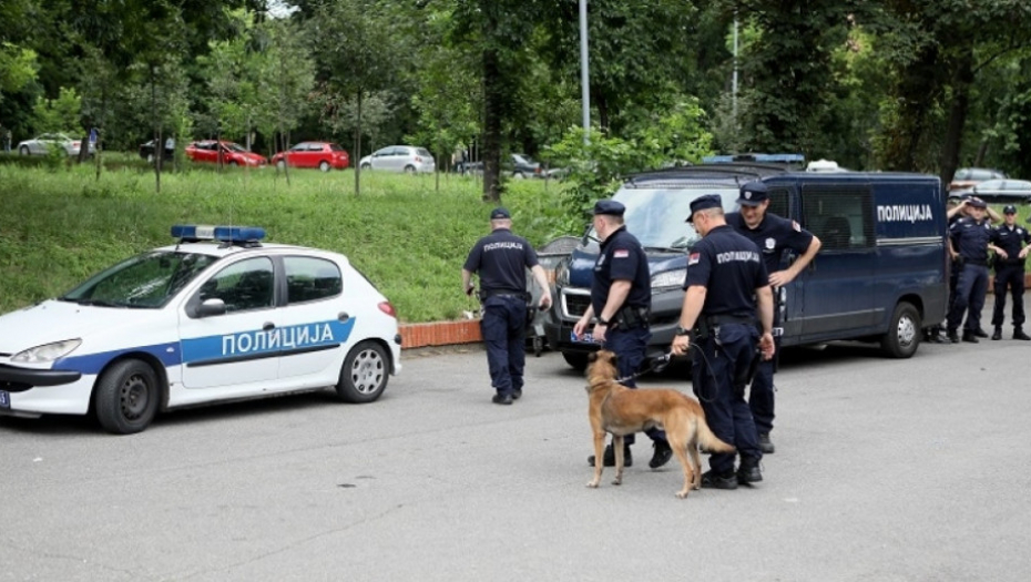 Policija, hapšenje