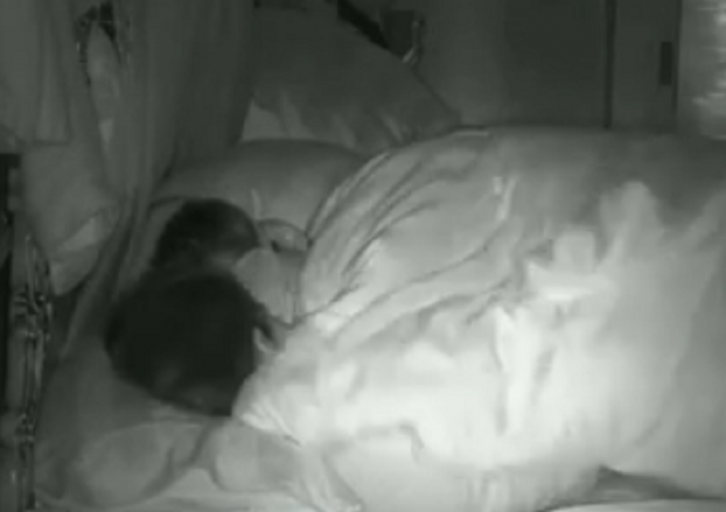 Aleksandar Požgaj, Ivania