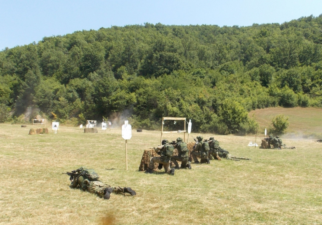 Vojska Srbije, grčka, 