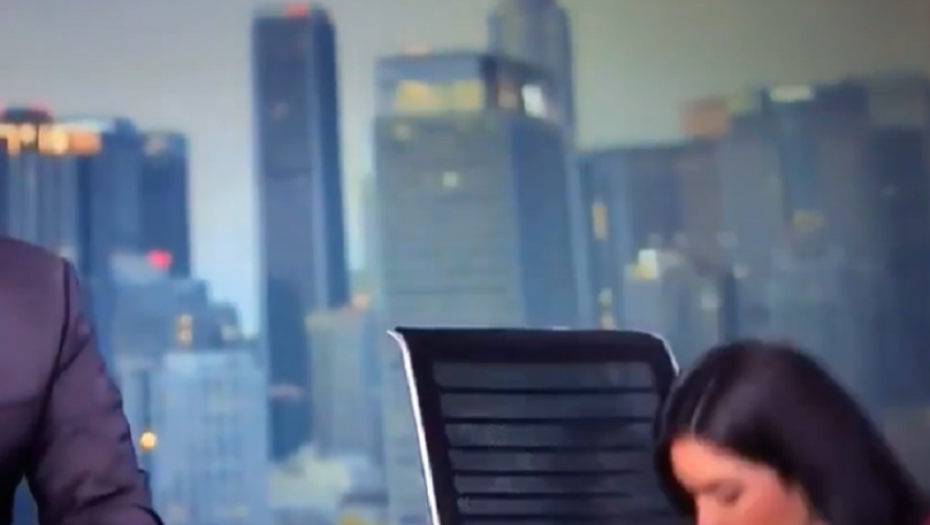 TV studio, SAD, Kalifornija, zemljotres, uživo