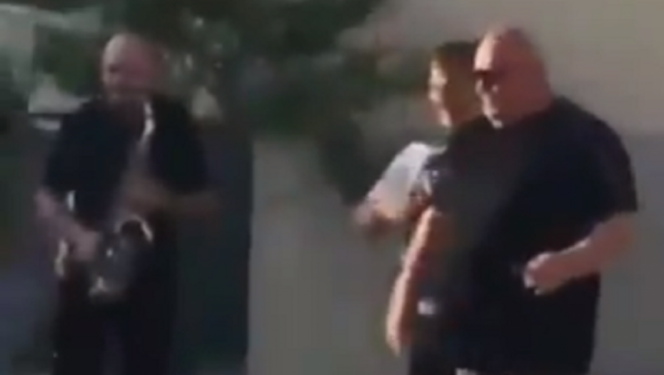 Dragan Marković Palma