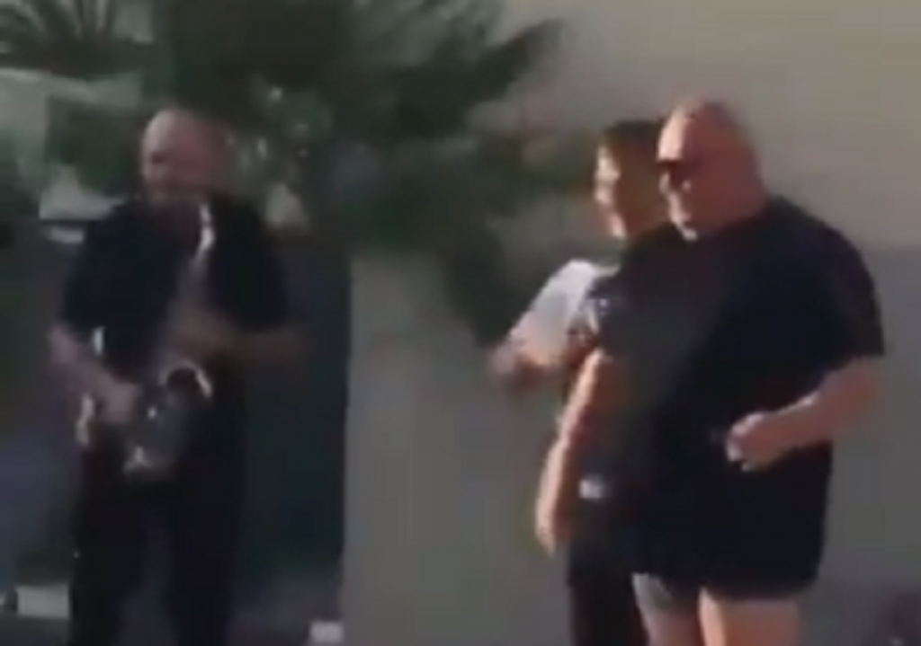 Dragan Marković Palma