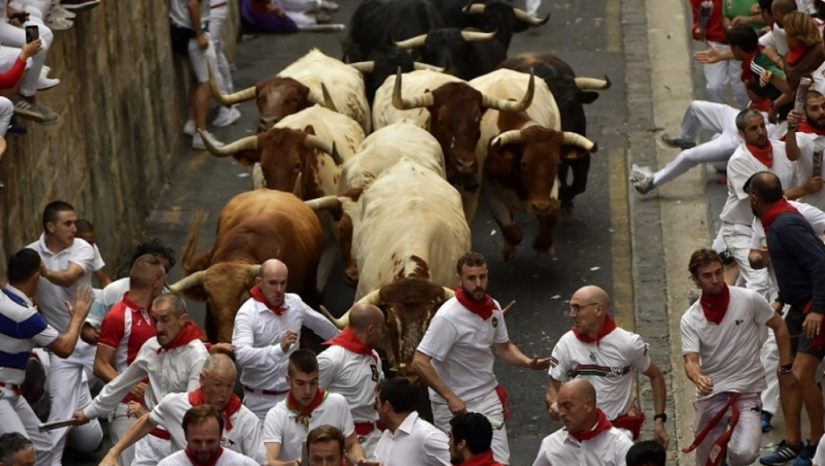 Trka s bikovima u Španiji