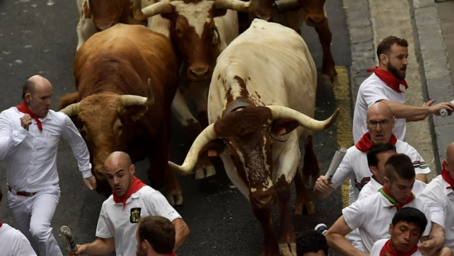 Trka s bikovima u Španiji