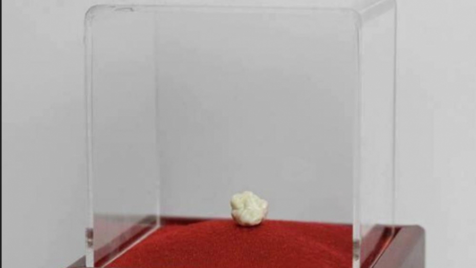 Čuvena žvaka Aleksa Fergusona