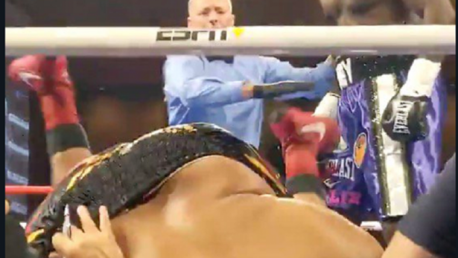 Kasius Čejnii Džoel Kodl