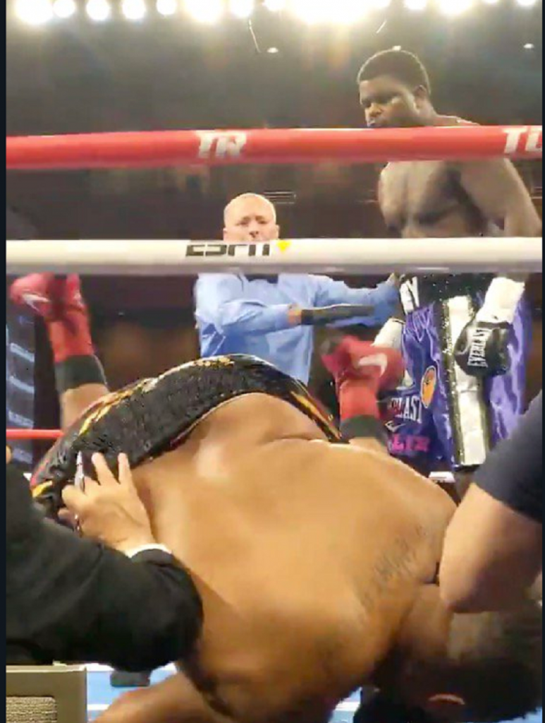 Kasius Čejnii Džoel Kodl