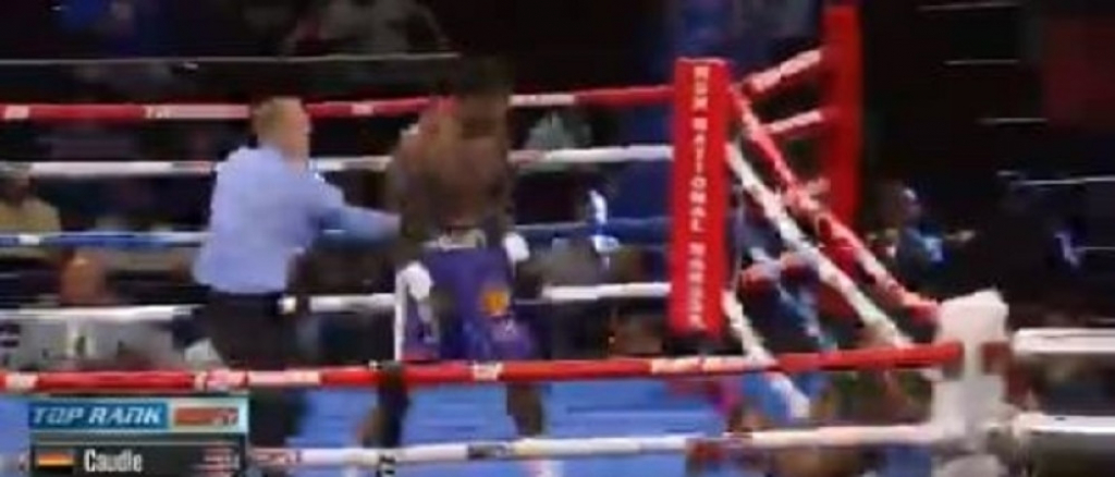 Bokser ispao sa ringa