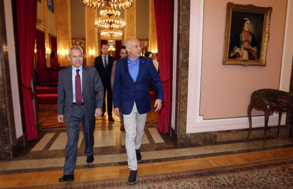 Aleksandar Bocan Harčenko, Zoran Radojičić