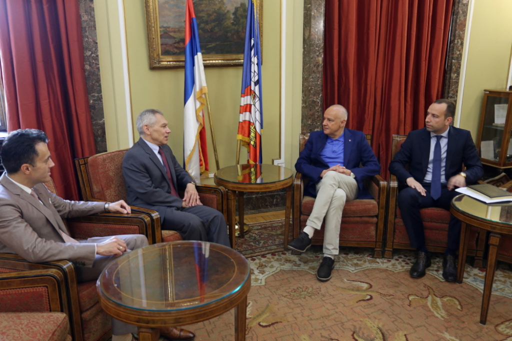 Aleksandar Bocan Harčenko, Zoran Radojičić