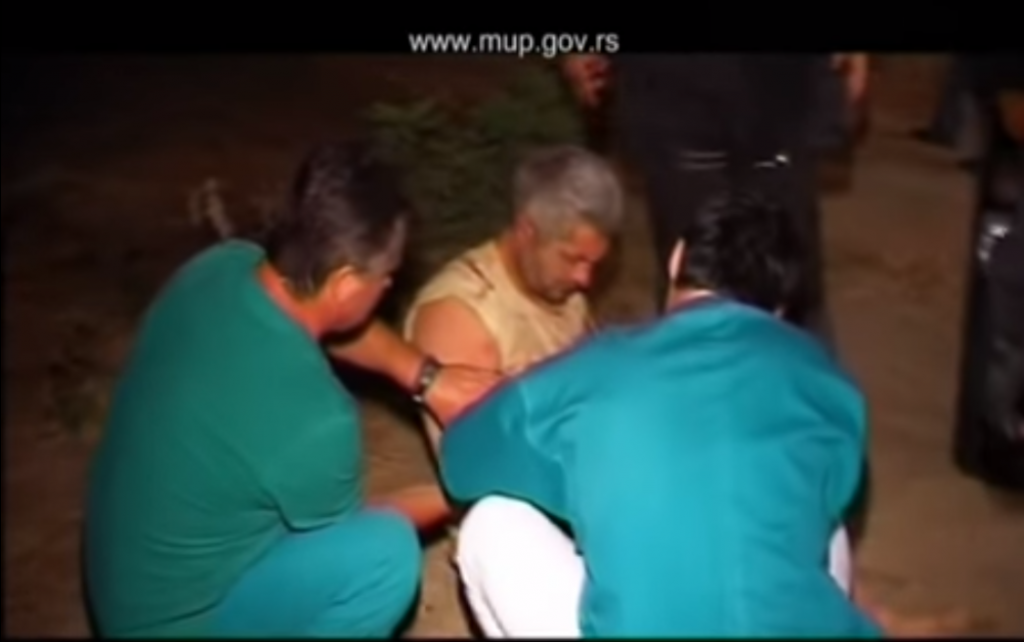 Nikola Radosavljević, Jabukovac