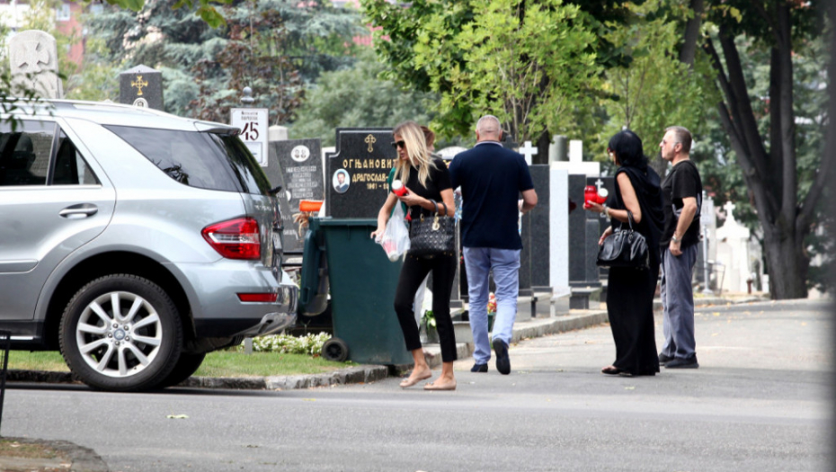 Dragoslav Miša Ognjenović