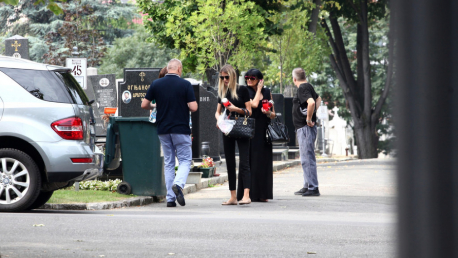 Dragoslav Miša Ognjenović