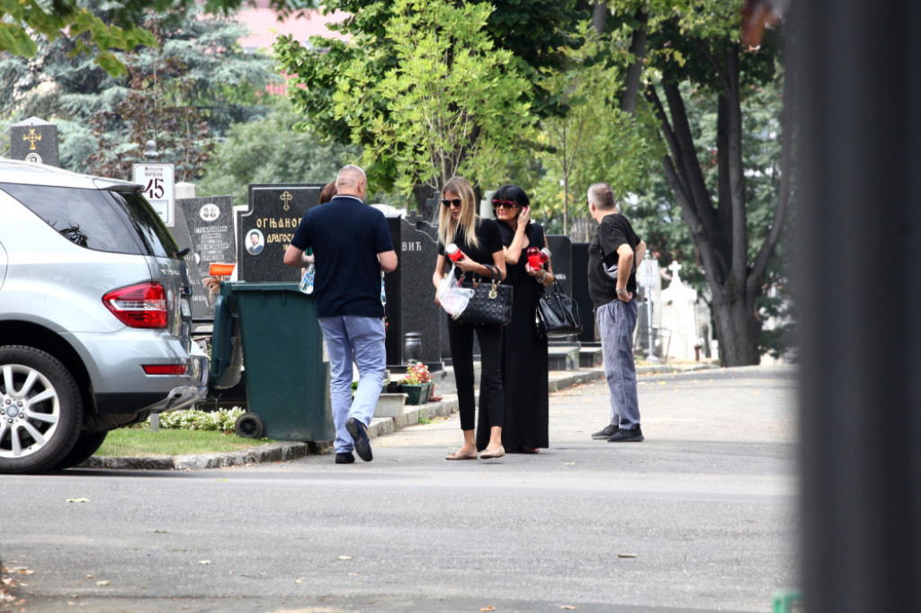 Dragoslav Miša Ognjenović