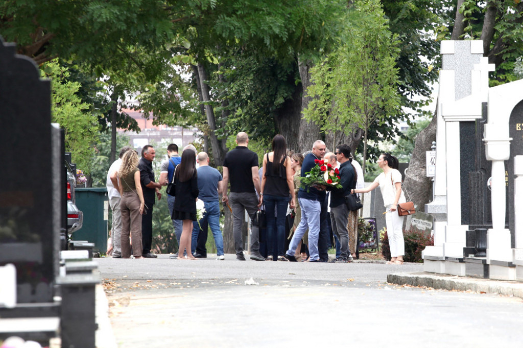 Dragoslav Mi&scaron;a Ognjenović