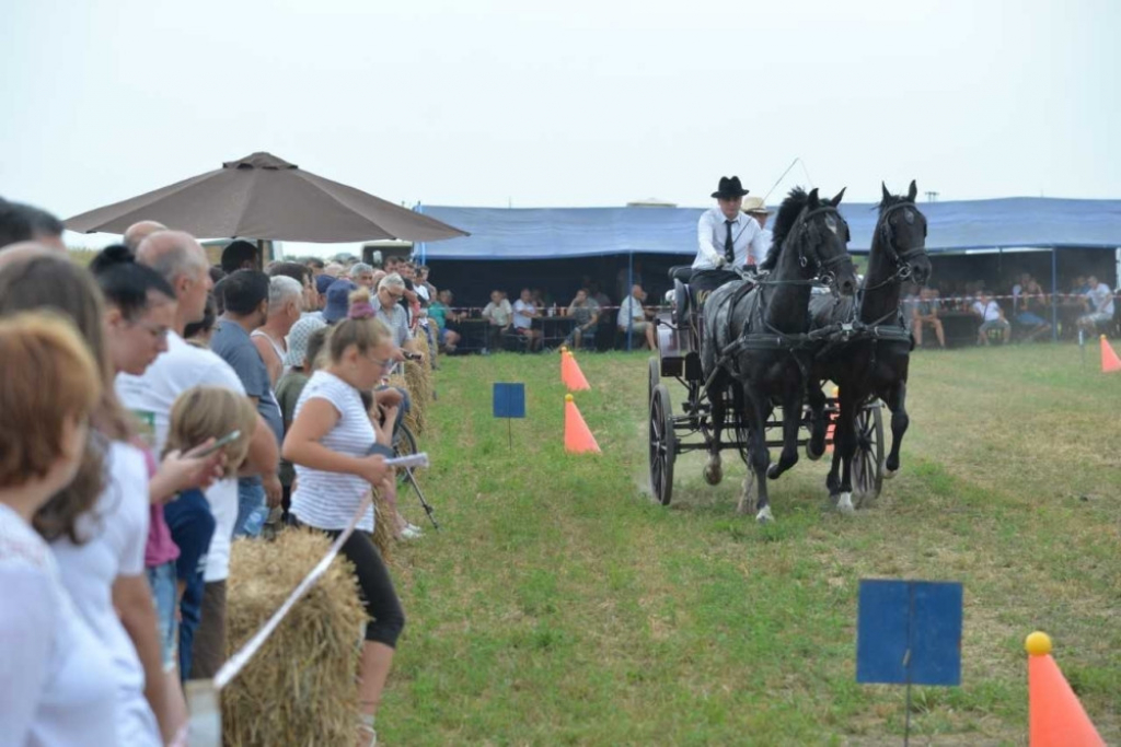 Fijakerijada u Batajnici