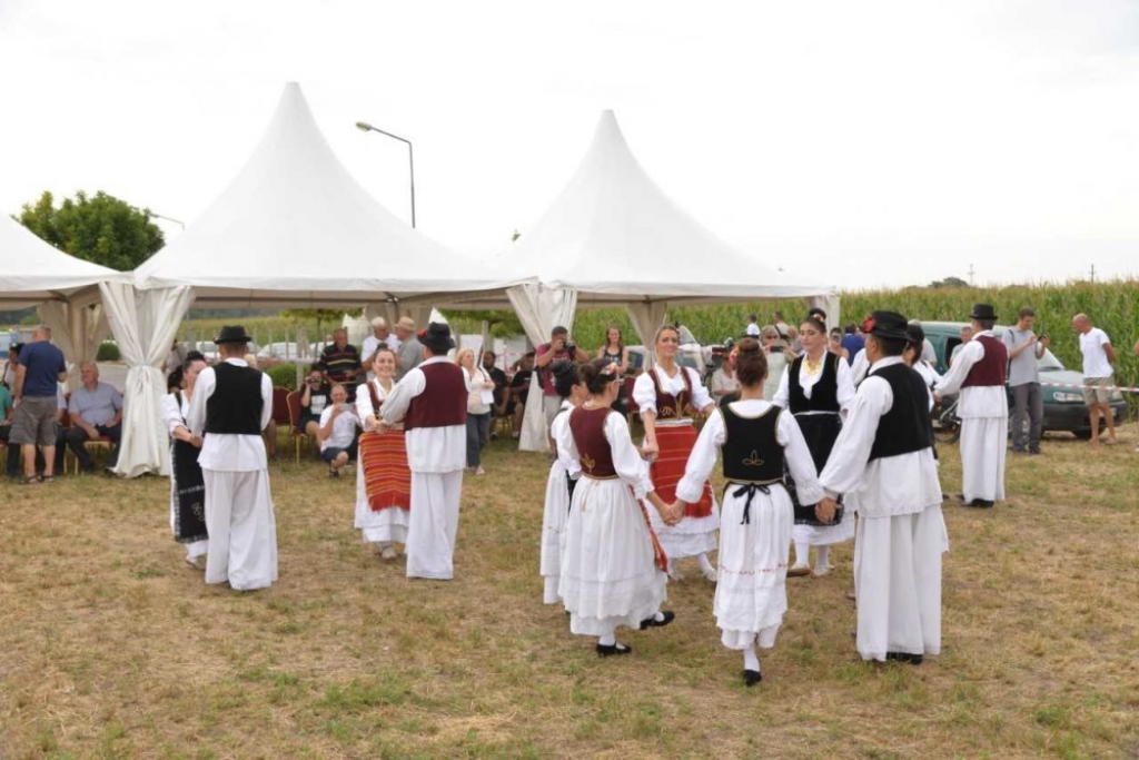 Fijakerijada u Batajnici