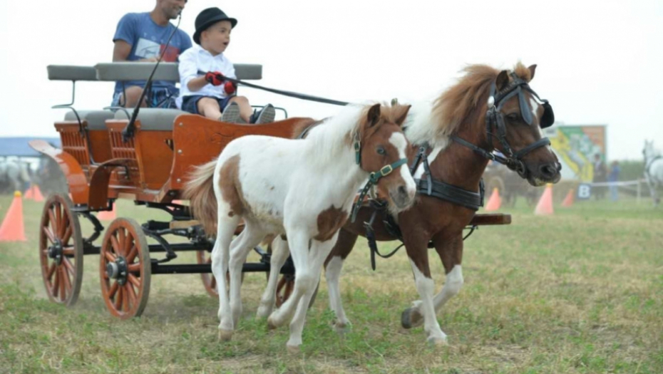 Fijakerijada u Batajnici
