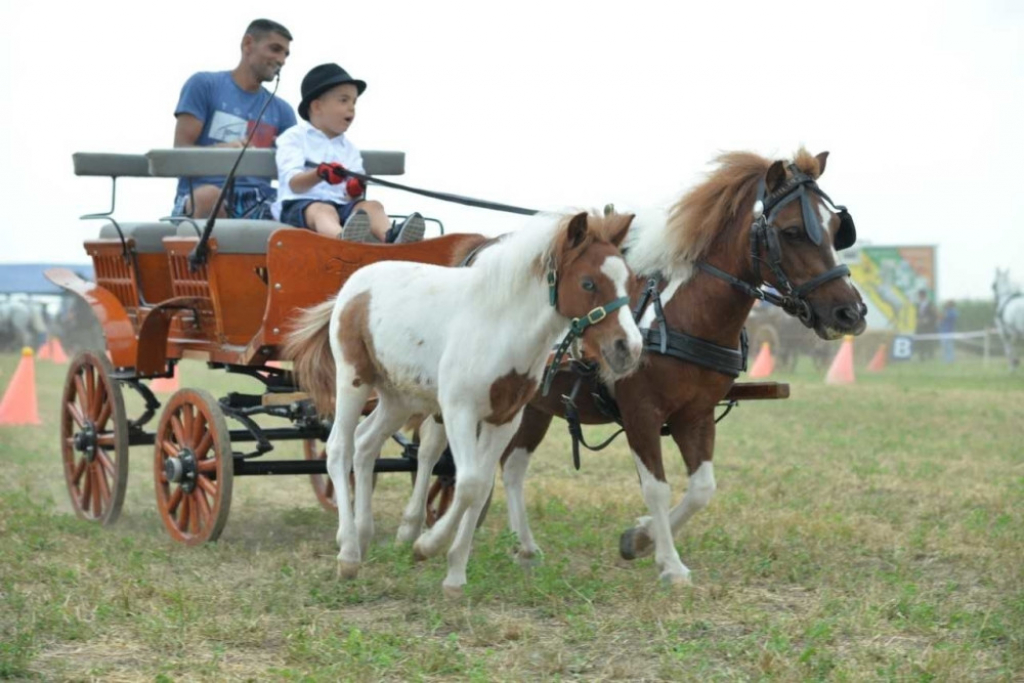 Fijakerijada u Batajnici