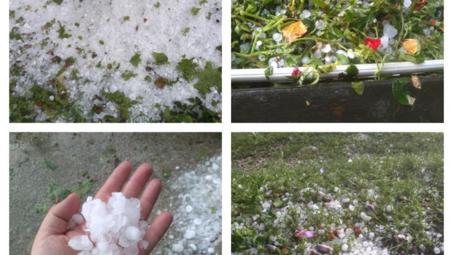 Nevreme, Guča, grad