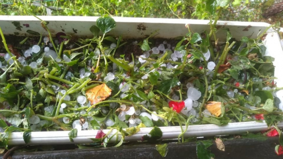 Nevreme, Guča, grad