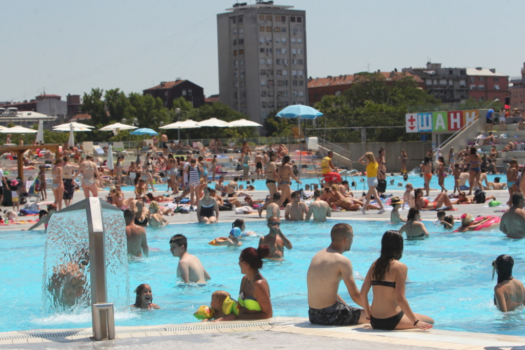 Milan Gale Muškatirović