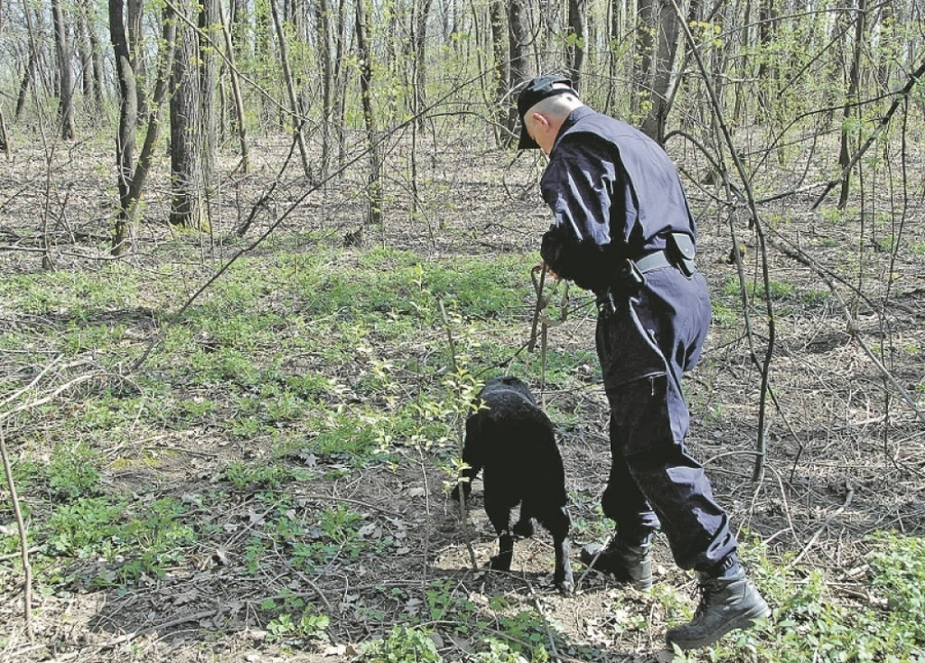 Zaječar, ilustracija