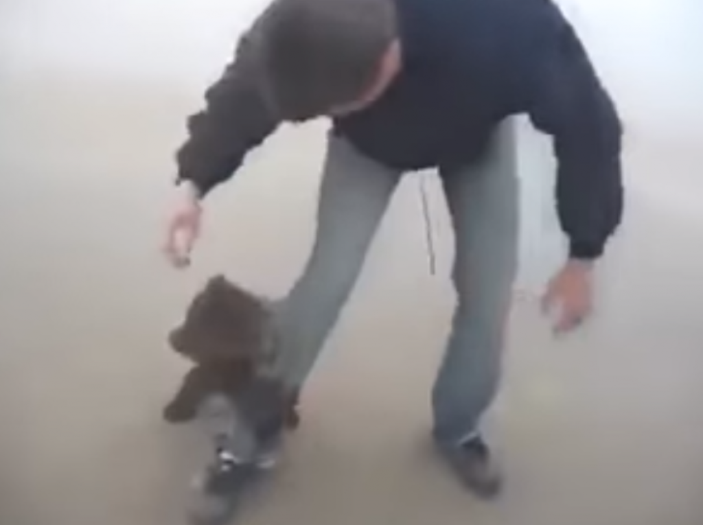 Medvedić du&scaron;a