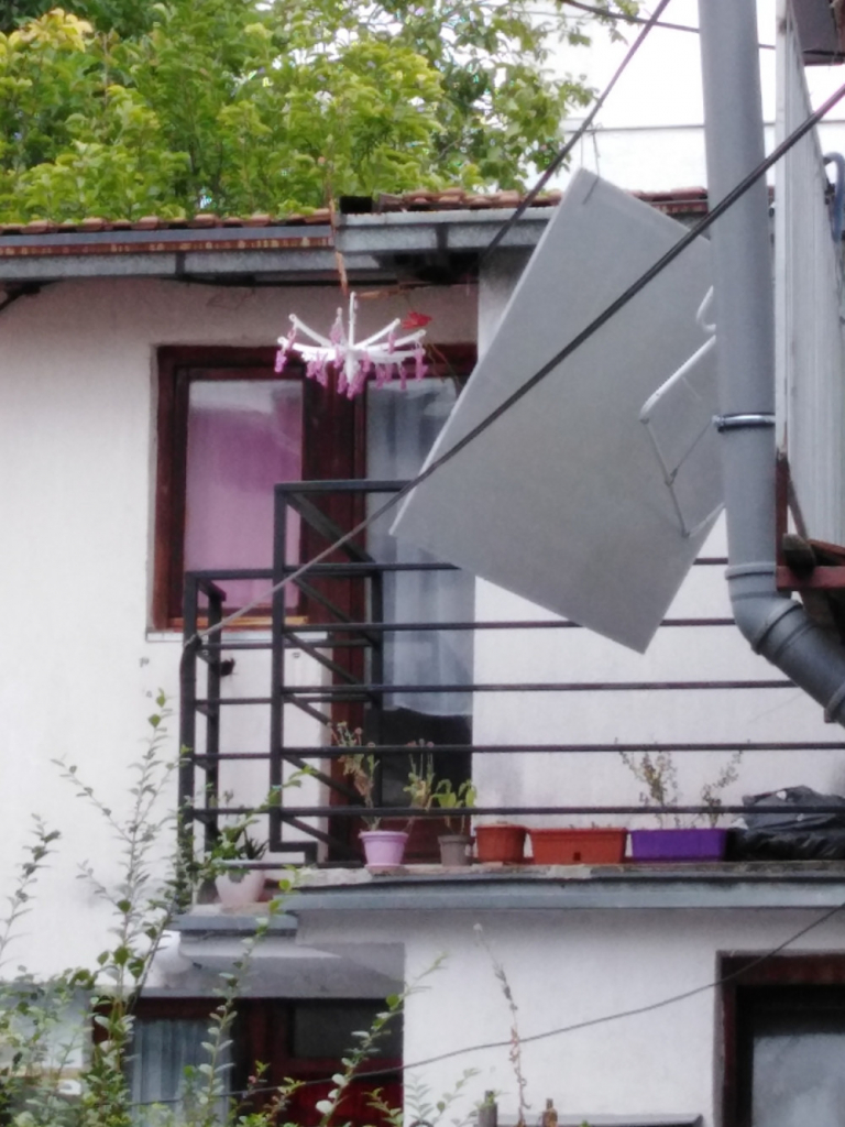 Damjan Đ. Jovana Đ. metla, Zvezdara