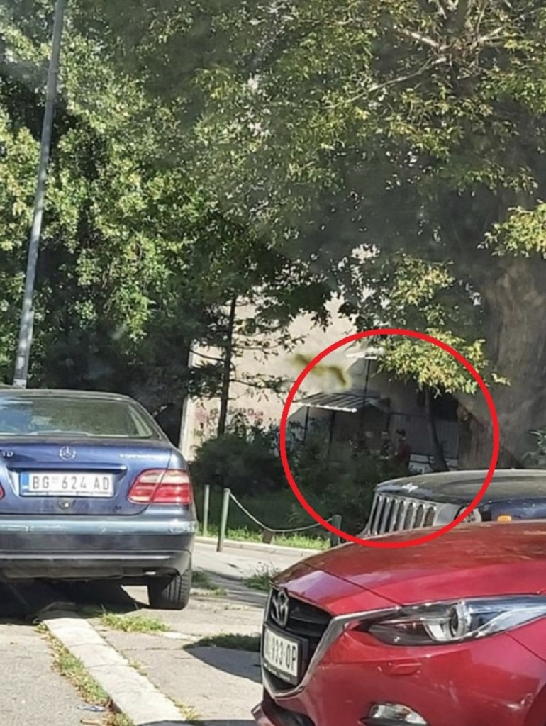 Toma Panić, privođenje