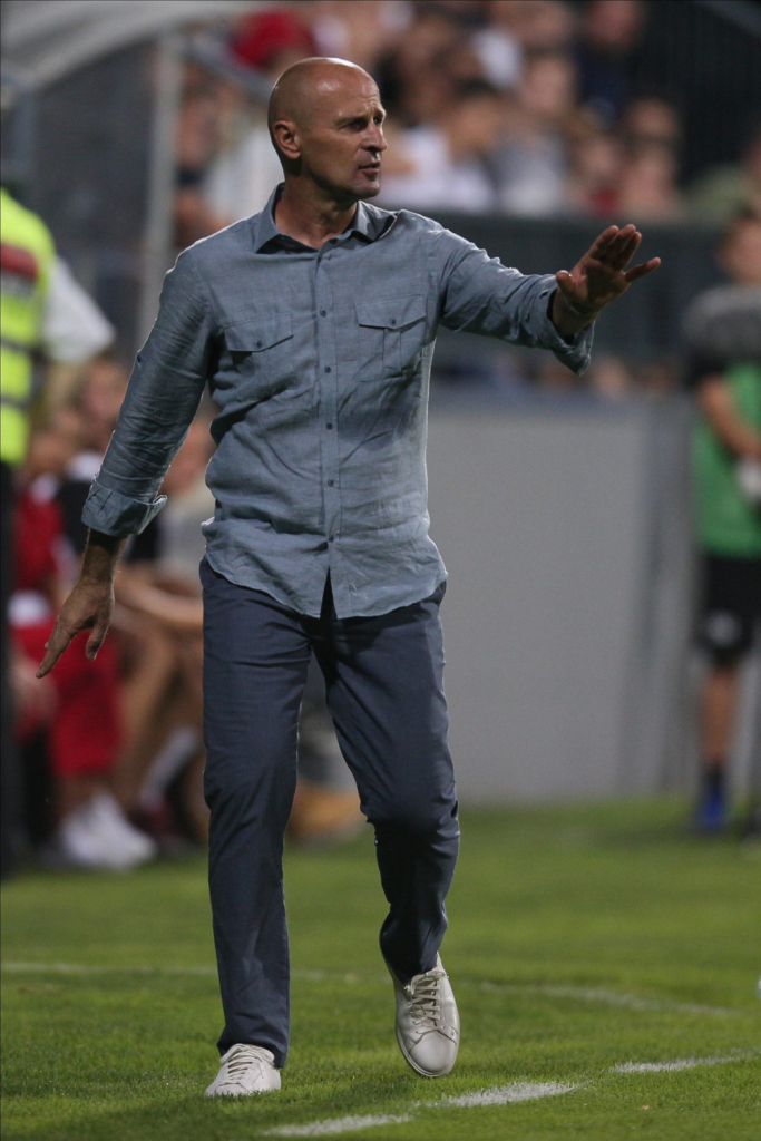 Aleksandar Veselinović