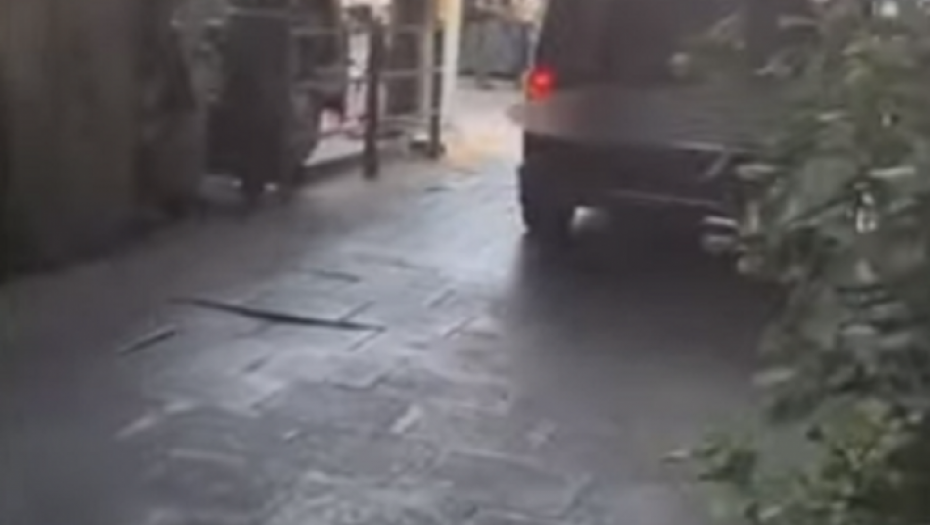 Otmica Srpkinje u Torinu