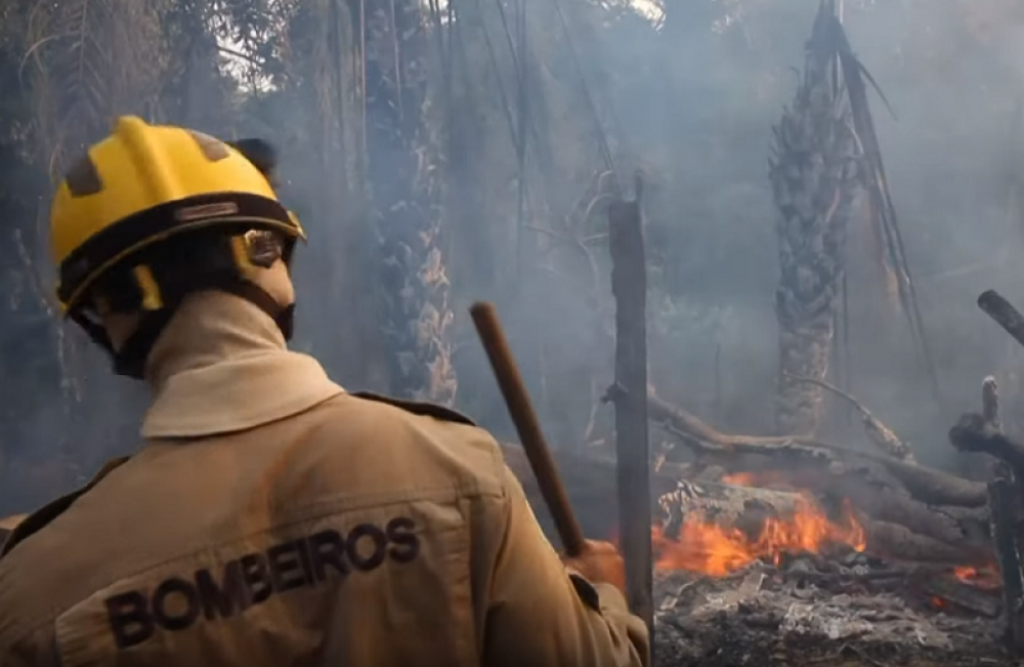 Amazonija u plamenu