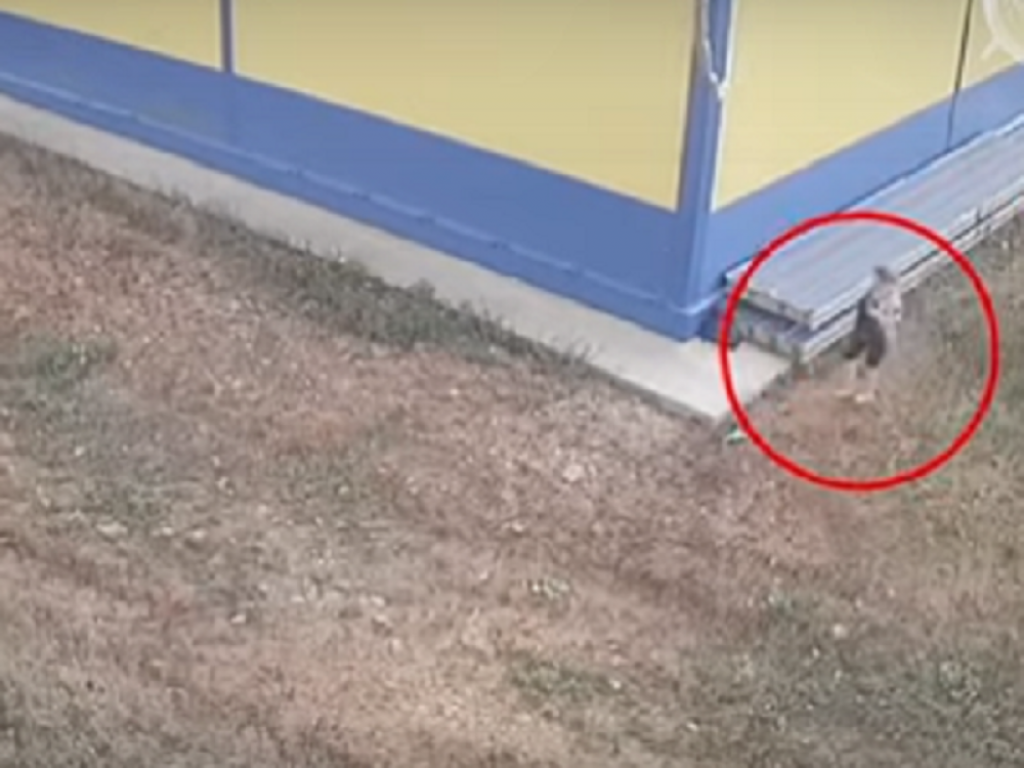 Ostavlja bebu u kesi