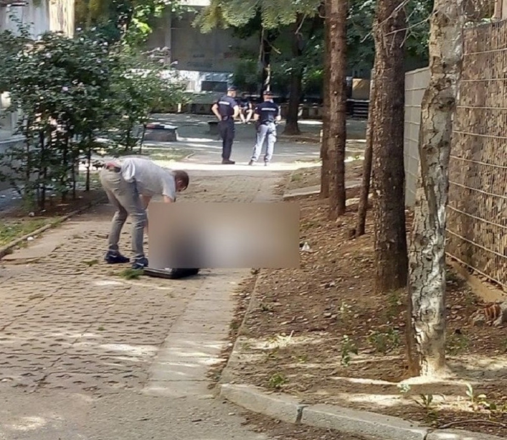 Zvezdara, samoubistvo