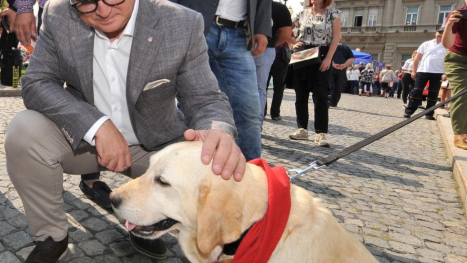 Dan komunalne delatnosti, Goran Vesić