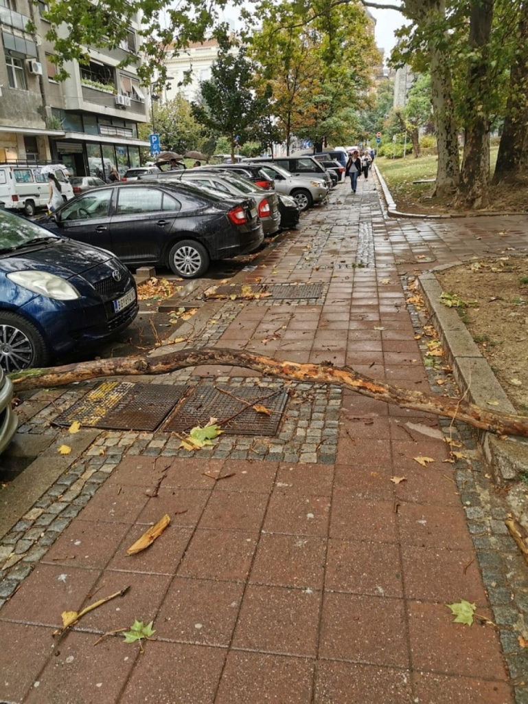 Šteta prouzrokovana nevremenom u Kosovskoj ulici