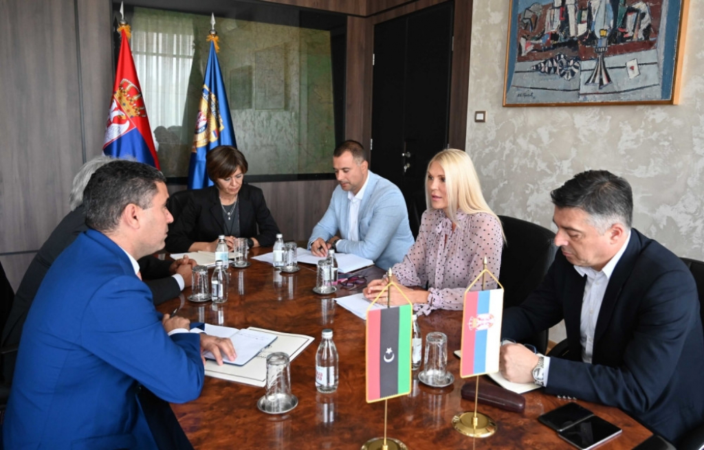 Biljana Popović Ivković, ambasada Libije