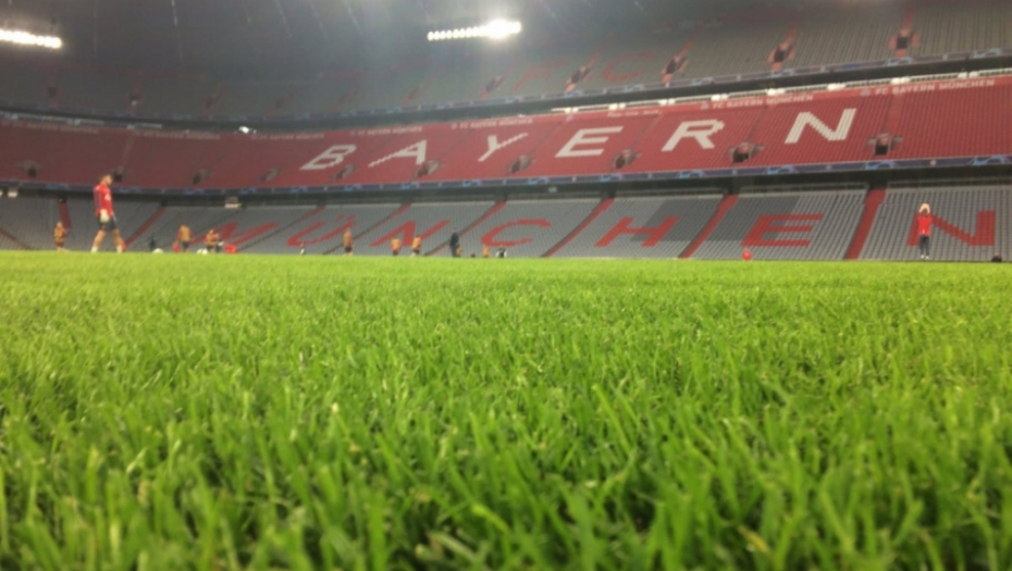 Crvena zvezda, Alijanc arena