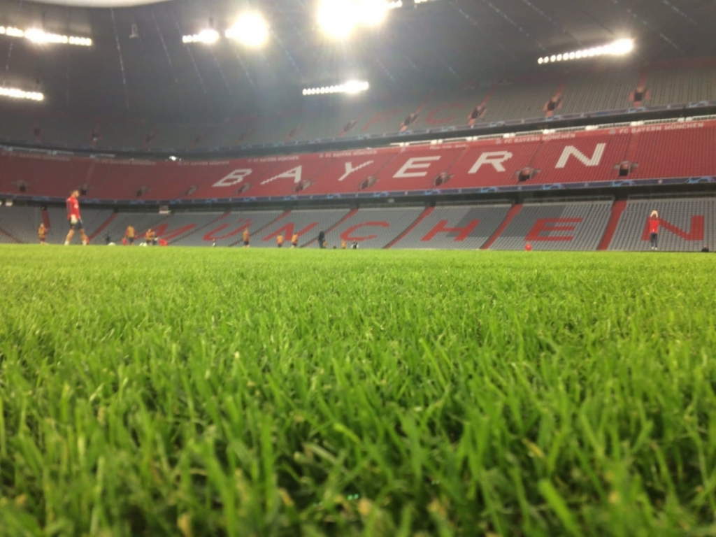 Crvena zvezda, Alijanc arena