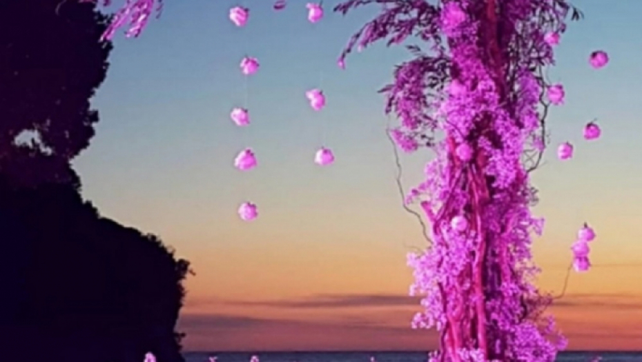 Svadba sina Mila Đukanovića