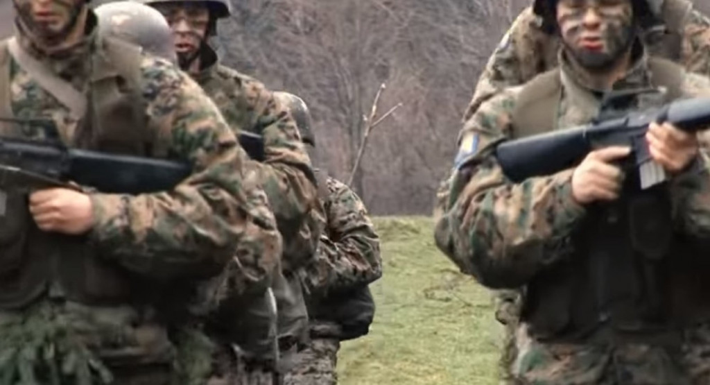 Oružane snage BIH, Armija BiH