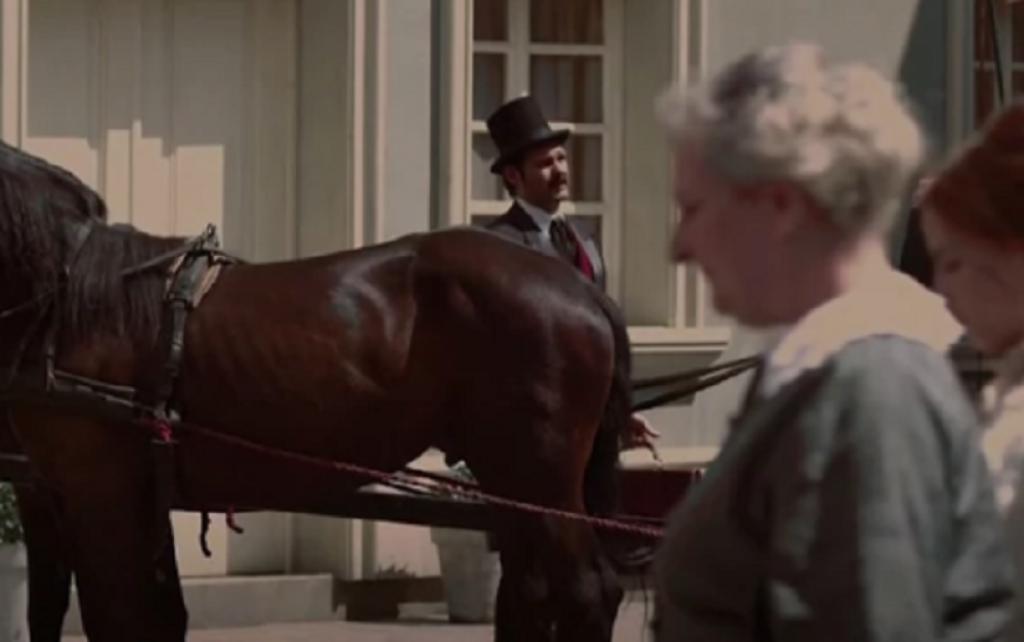 Aleksandar Srećković Kubura 