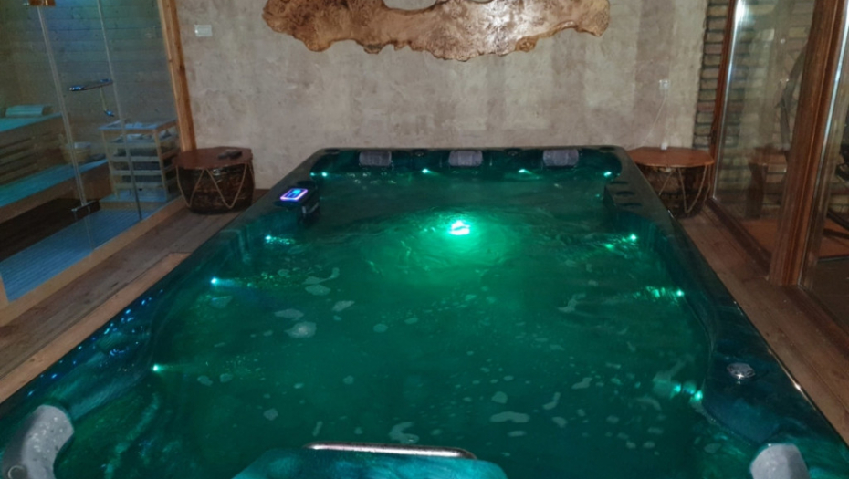 Aleksandra Subotić, rođendan